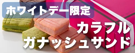カラフルガナッシュサンド